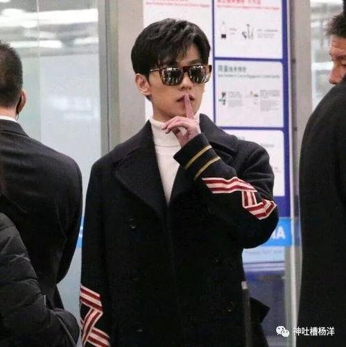 杨洋宁波机场爆料视频,粉丝热情追捧
